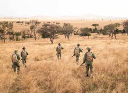 Wildlife Conservation Through Anti-Poaching Patrols Tour