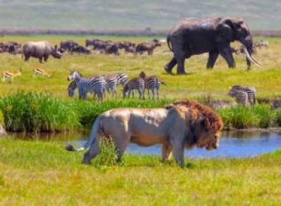 8 Days Extraordinary Tanzanian Safari Adventure Tour