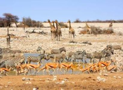 16 Day Namibia-Botswana-Victoria Falls Private Guided Safari Tour