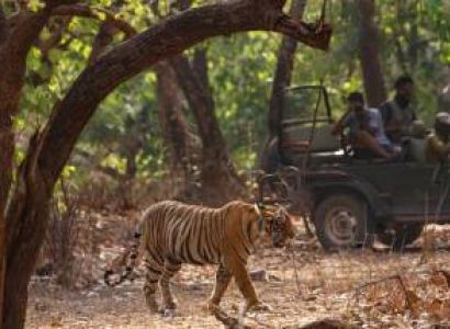 Jim Corbett - Nainital Tour 4 Nights - 5 Days