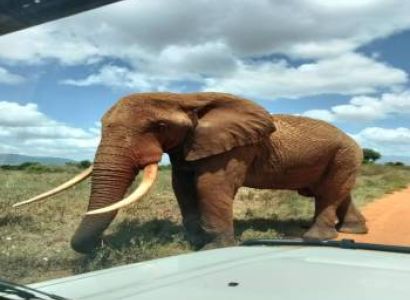 2 Nights 3Days   Safaris starting from Mombasa