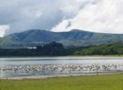 6 Night, 7 Days Wonders of the Wild Kenya Adventure