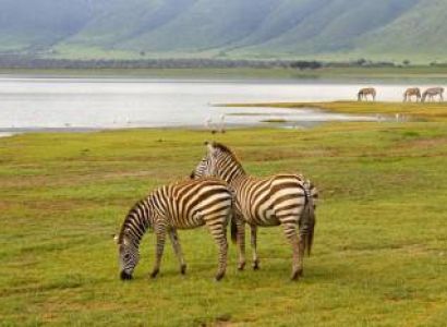 6 Nights, 7-Day Lake Nakuru, Maasai Mara, Serengeti NP, and Ngorongoro Crater Tour
