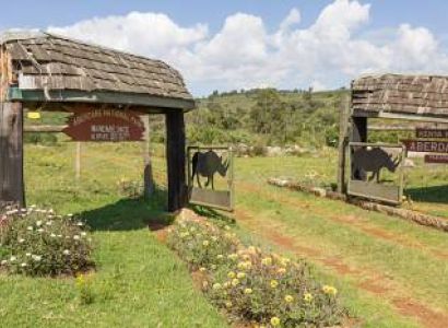 2 Nights, 3 Days Aberdare National Park on Foot