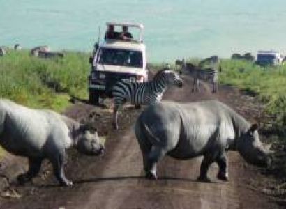 6 Days Tanzania Border To Border Tour