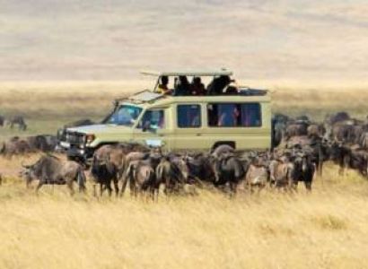 5 Days Ndutu Safari Package