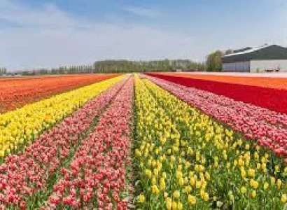 4N - 5D Kashmir Package