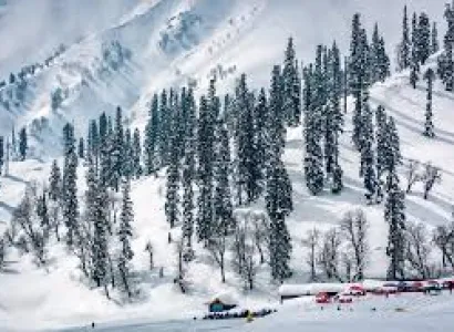5N - 6D Kashmir Family Package