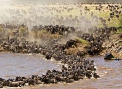 5 Days Kenya Safari - Highlights Circuit Tour