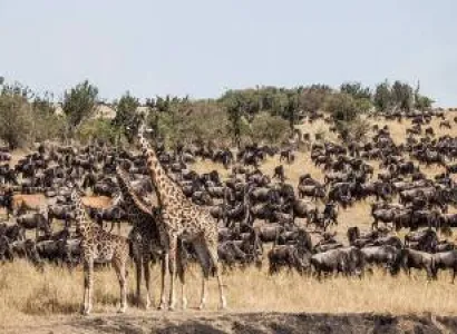 7Days Luxury Safari - Cultural Tours