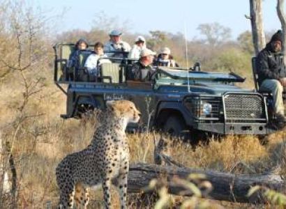 6 Days Kruger And Sabi Sands Tour