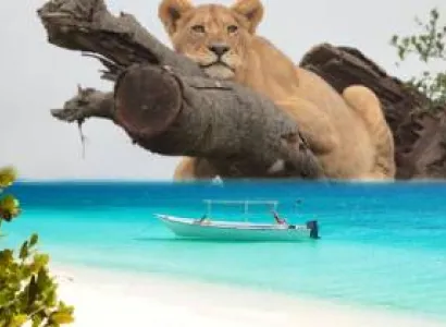 17 Days Of Tanzania And Zanzibar Safari Tour