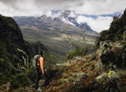 7 Days Kilimanjaro - Lemosho Route Tour