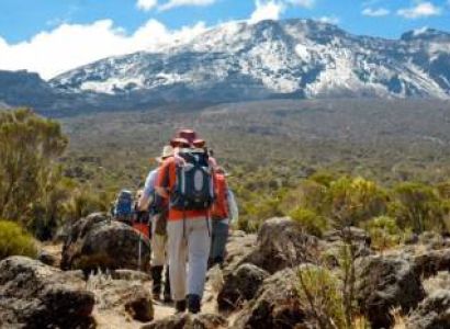 7 Days Lemosho Route Kilimanjaro Climbing Tour