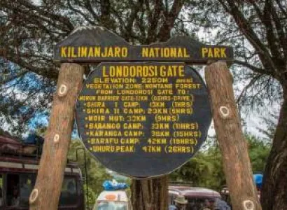 Lemosho Route Day Hike Tour