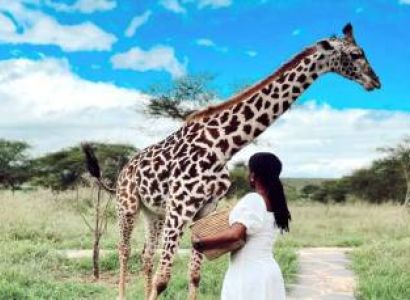 1 Day Serval Wildlife Tour