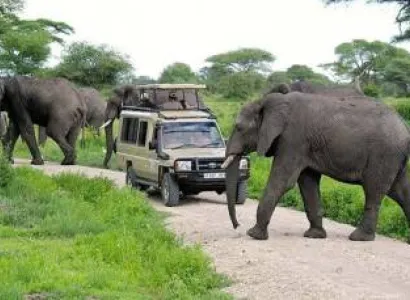 Arusha National Park Day Tour