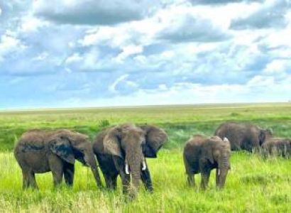 Tarangire National Park Day Tour
