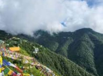5 Days Kullu & Mcleodganj & Kangra & Jibhi & Palampur Tour Package - Budget
