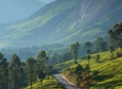 Thekkady & Alleppey & Munnar & Kochi Budget Holiday - 6 Days