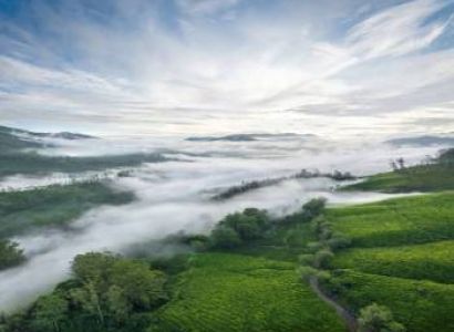 Kochi & Kovalam & Thekkady & Alleppey & Kanyakumari & Munnar Standard Tour Package - 8 Days