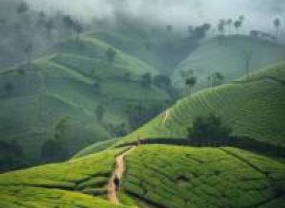8 Days Colombo & Sigiriya & Nuwara Eliya & Dambulla Tour Package Luxury