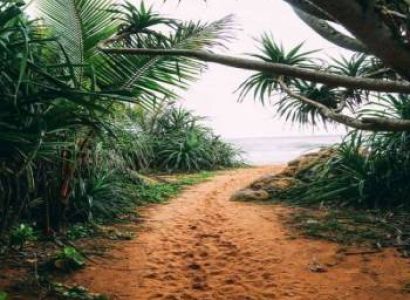 Colombo & Sigiriya & Kandy & Nuwara Eliya & Dambulla & Bentota Tour Package - 7 Days Luxury