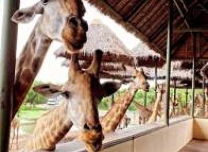 6 Days Bangkok & Pattaya Tour Package Luxury