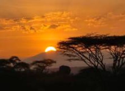 3 Days The Greatest Masai Mara Lake Naivasha Safari