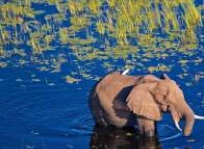 Livingstone and Chobe Explorer 3 Days