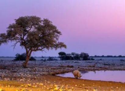 0 Night/ 1 Day Chobe Day Trip in Botswana