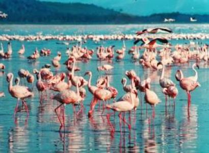 7 Days Nairobi- Samburu- Nakuru Mara