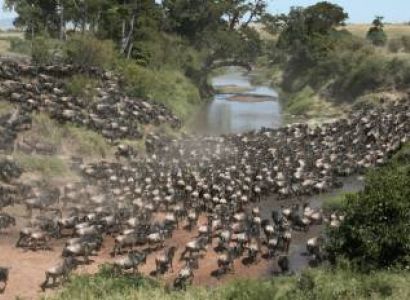 7 Days Mt. Kenya Trekking and Masai Mara Game Reserve