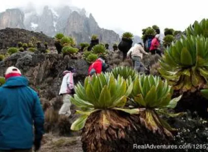 6 Days Mt. Kenya Trekking and Lake Nakuru Game Reserve