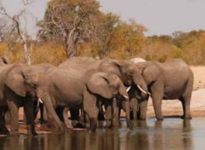 5 Days Masai Mara Tour