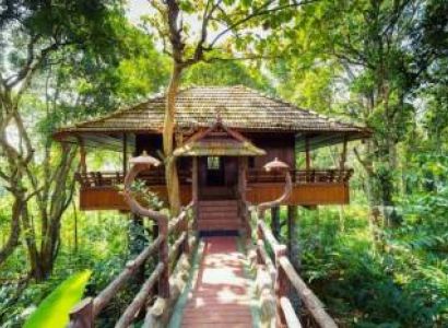2 Night - 3 Days Periyar Tour With Treehouse