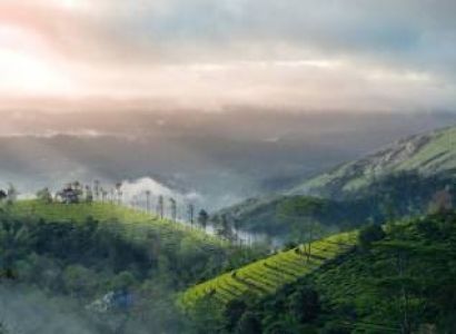 4 Days Cochin - Munnar - Thekkady Tour