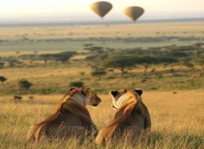 10-Day Southern Circuit of Tanzania Safari