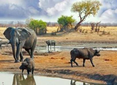 1-Day Lake Manyara National Park Trip