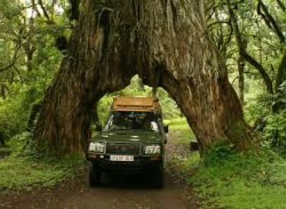 1-Day Trip from Arusha - Arusha National Park