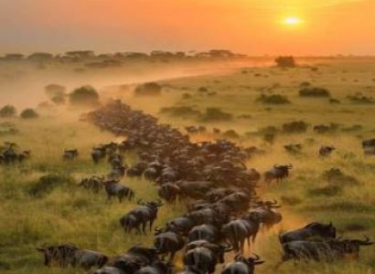 3-Day Fly in from Zanzibar to Ndutu Serengeti