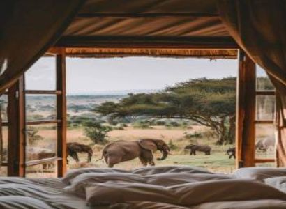 4-Day Migration to Calving Season