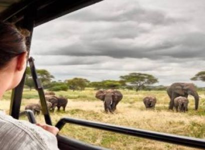 4-Day Tarangire, Ngorongoro and Ndutu Serengeti NP
