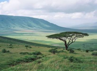 4-Day Tarangire, Ngorongoro and Serengeti Trip