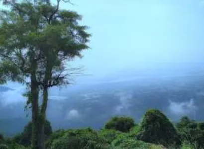 Palamalai Hills Trekking Trip