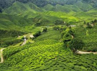 3N - 4D Assam Package