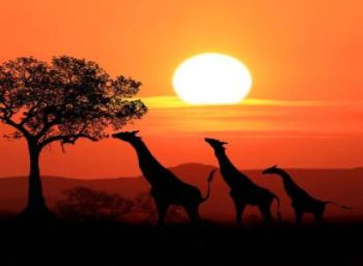 4 Nights of Adventure 5 Days of Memories In Kenya