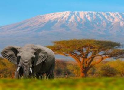 6 Nights 7 Days Kenya Epic Migration Safari Offers
