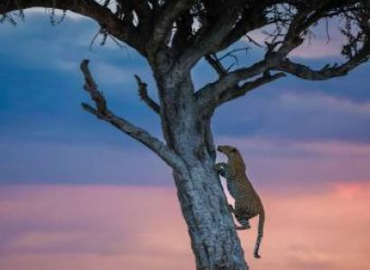 9 Nights 10 Days Kenya Highlights