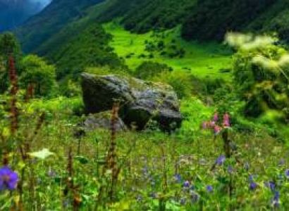 5 Night - 6 Days Valley Of Flowers Tour